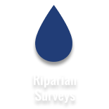 Riparian Surveys 